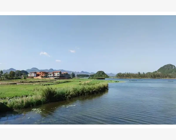 清肺润肺，呼吸不凡：中医科普解读肺部保健之道