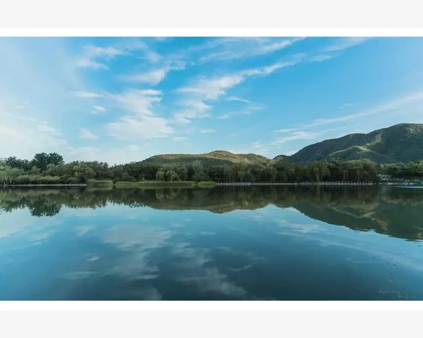 清肺润肺，果实香甜诚佳选